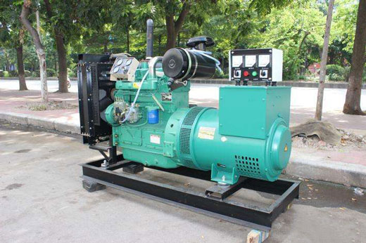 赵西垸林场发电机不发电的原因