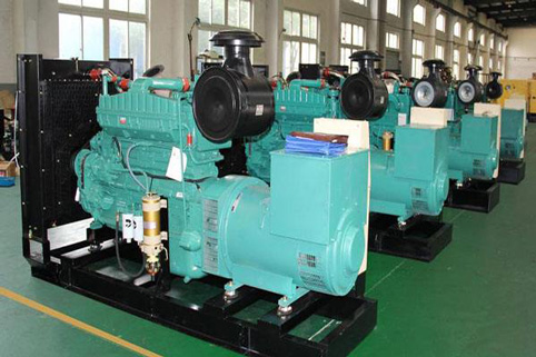 赵西垸林场小型柴油发电机